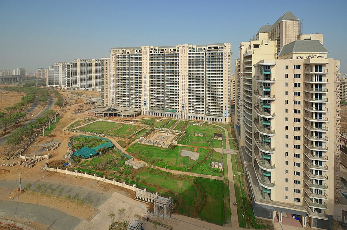 The Magnolias and Aralias, DLF5