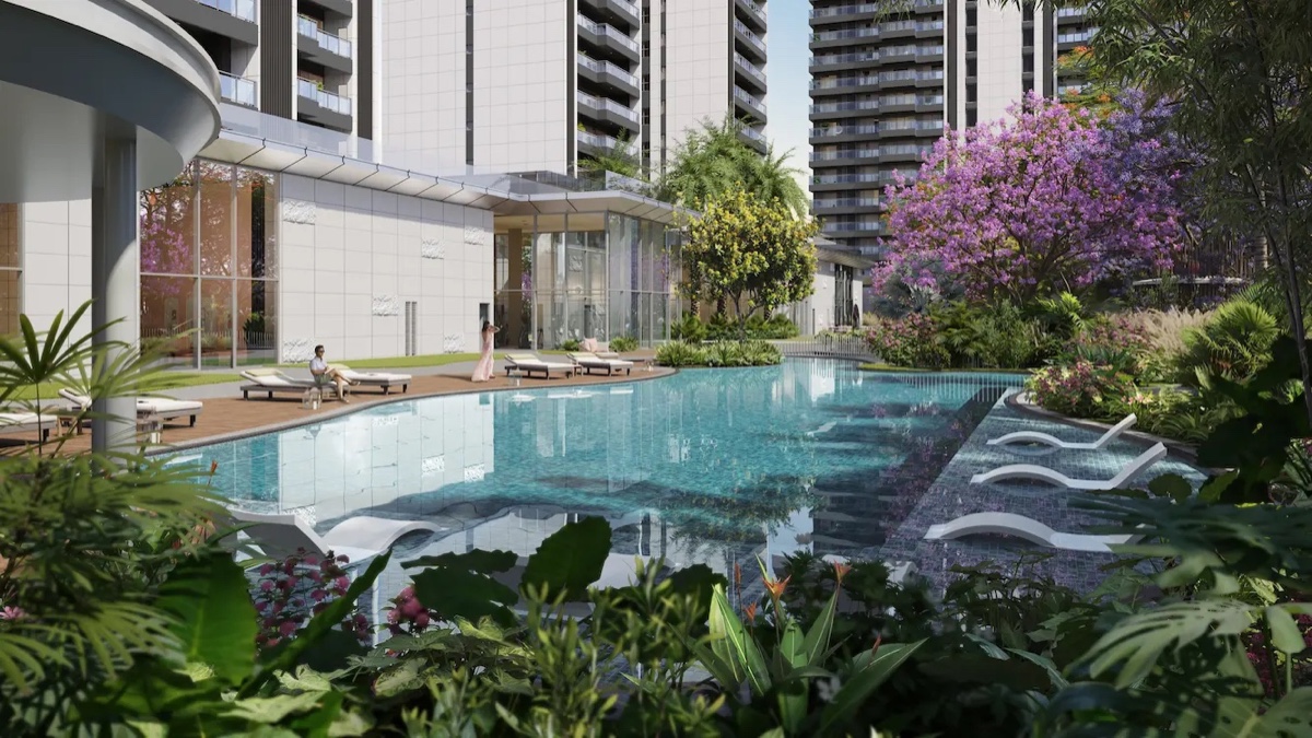Pool deck and landscape